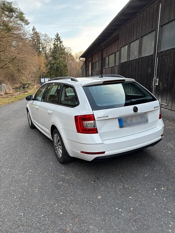 Usata Skoda Octavia Active 116 CV (85 kW) 2019 Bianco Station wagon