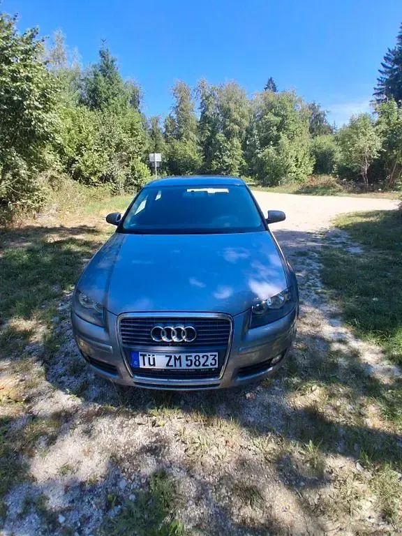 Gebraucht Audi A3 Ambition 102 PS (75 kW) 2008 Grau Kleinwagen