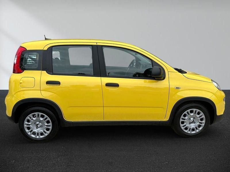 Gebraucht Fiat Panda 69 PS (50 kW) 2024 Colore esterno (?lutá sole) Kleinwagen