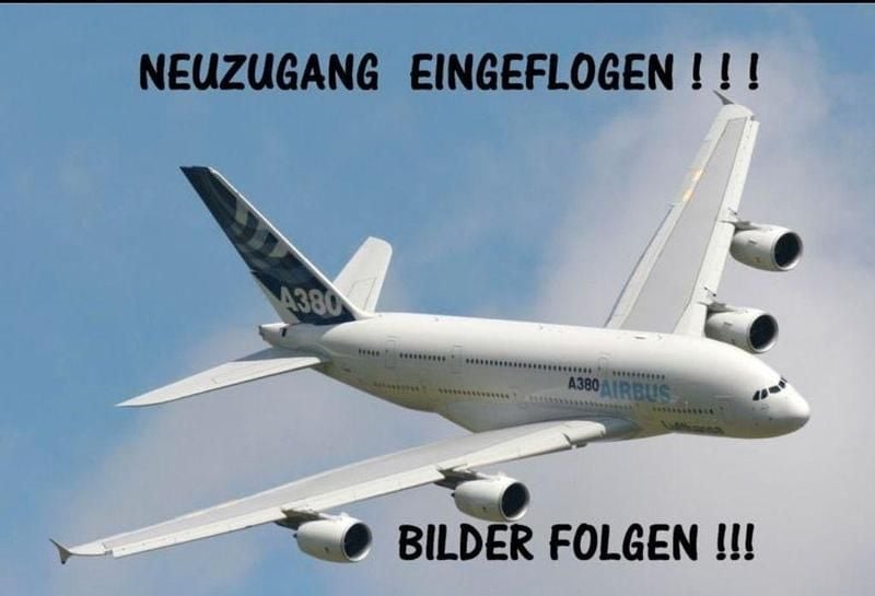 Silber Gebraucht 2004 Mercedes SL350 AMG Cabrio | 13.990 € (Superpreis) - Bild 1/1