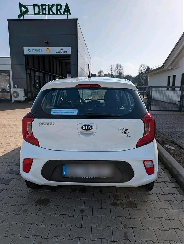 Gebraucht Kia Picanto 84 PS (61 kW) 2019 Weiß Kleinwagen