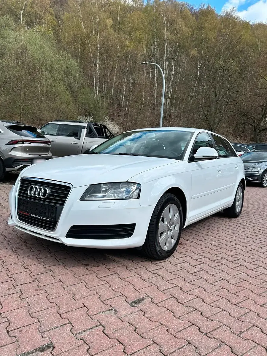 Gebraucht Audi A3 125 PS (91 kW) 2010 Weiß Kleinwagen