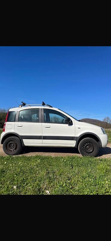 Gebraucht Fiat Panda 4x4 69 PS (50 kW) 2011 Weiß Kleinwagen