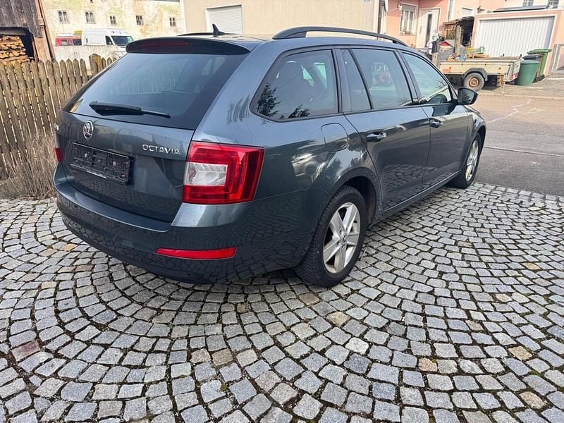 Gebraucht Skoda Octavia Active 110 PS (80 kW) 2017 Kombi