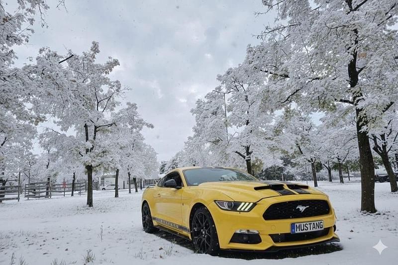 Gelb Gebraucht 2017 Ford Mustang Coupé | 19.300 € (Superpreis) - Bild 1/4