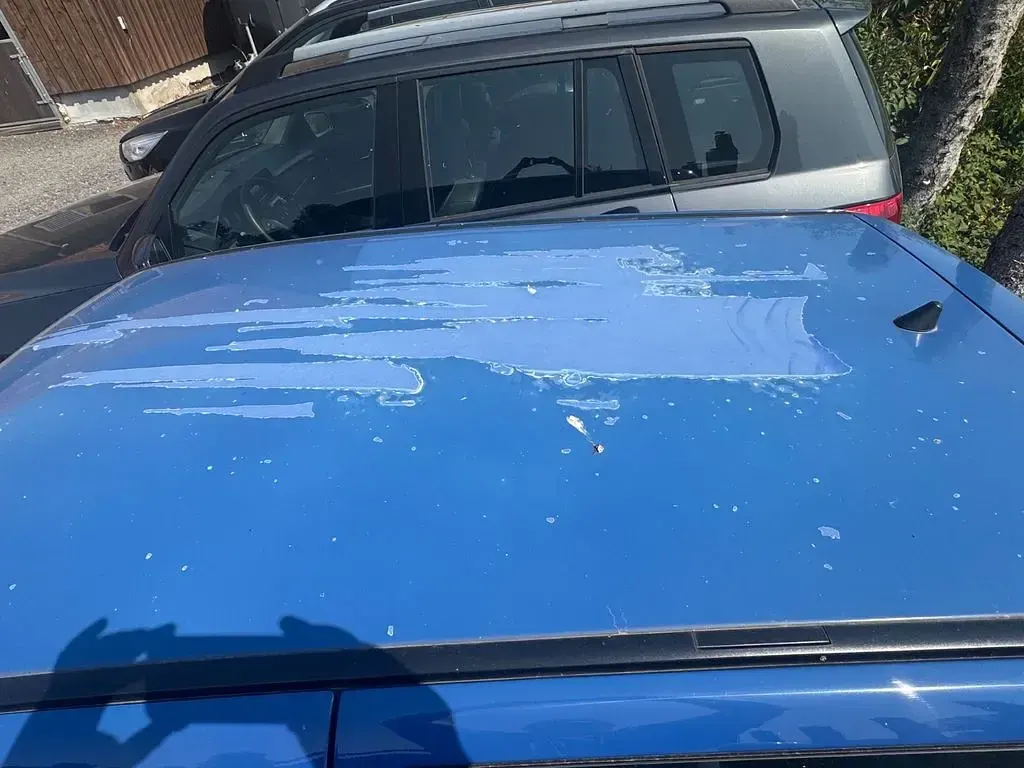 Gebraucht VW Polo 50 PS (36 kW) 2000 Blau Limousine