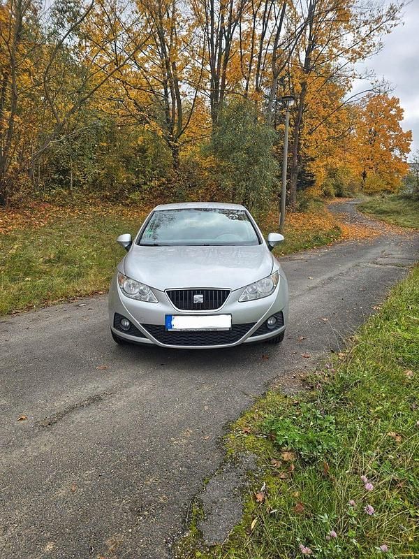 Silber Gebraucht 2011 Seat Ibiza Style Kleinwagen | 4.899 € (Fairer Preis) - Bild 1/4