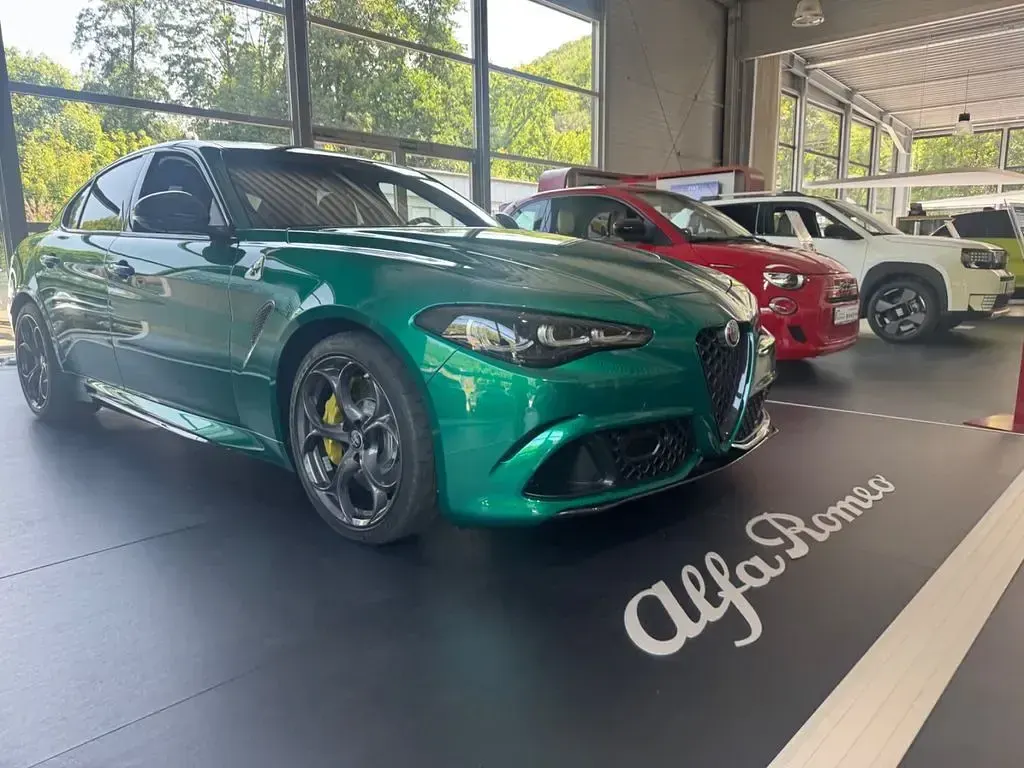 Neu Alfa Romeo Giulia Quadrifoglio 519 PS (381 kW) 2026 Grün Limousine