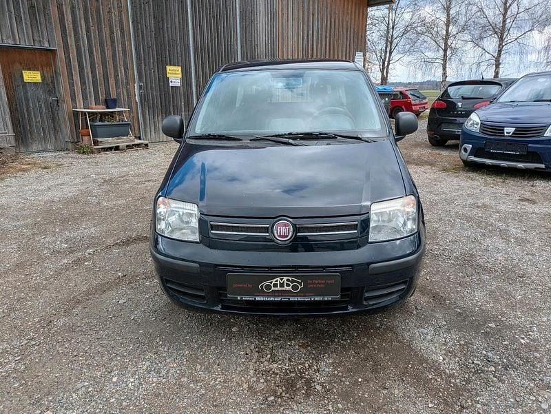 Gebraucht Fiat Panda Active 54 PS (39 kW) 2009 Blau Kleinwagen