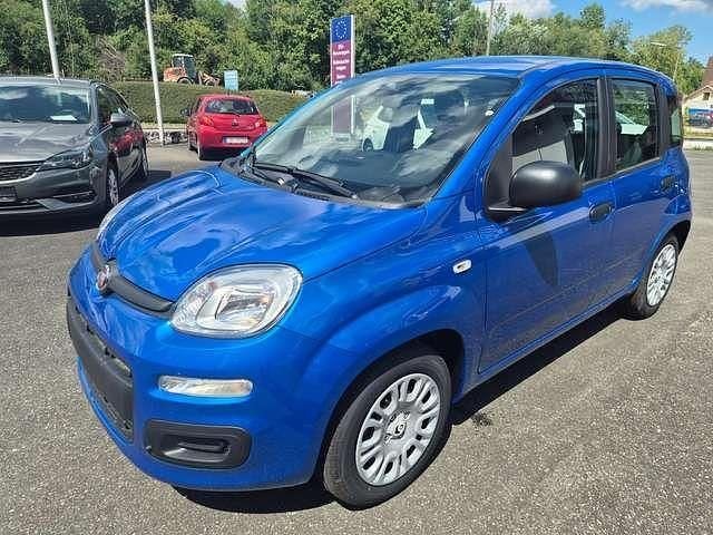 Neu Fiat Panda 69 PS (50 kW) 2025 Italia blau met. Kleinwagen