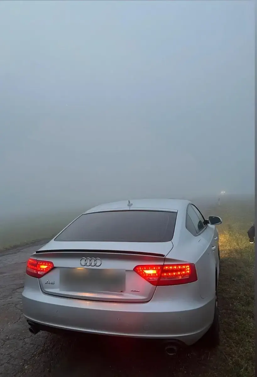 Occasion Audi A5 190 ch (139 kW) 2011 Argent Coupé
