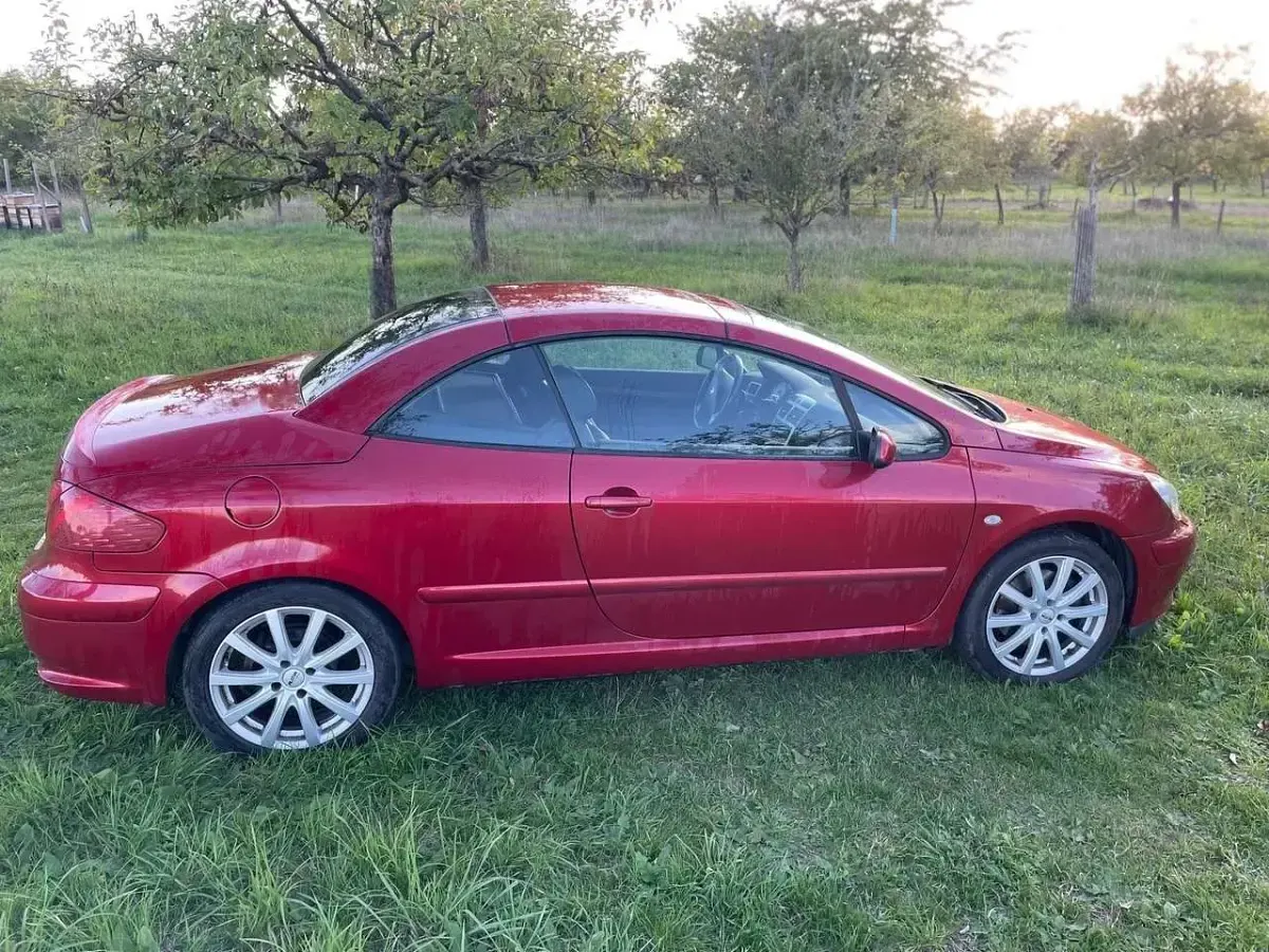 Gebraucht Peugeot 307 CC Sport 177 PS (130 kW) 2004 Cabrio