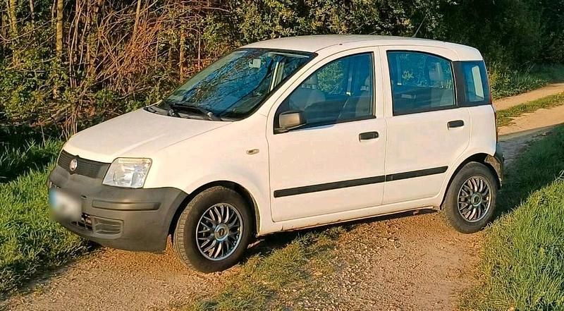 Gebraucht Fiat Panda 54 PS (39 kW) 2009 Weiß Kleinwagen