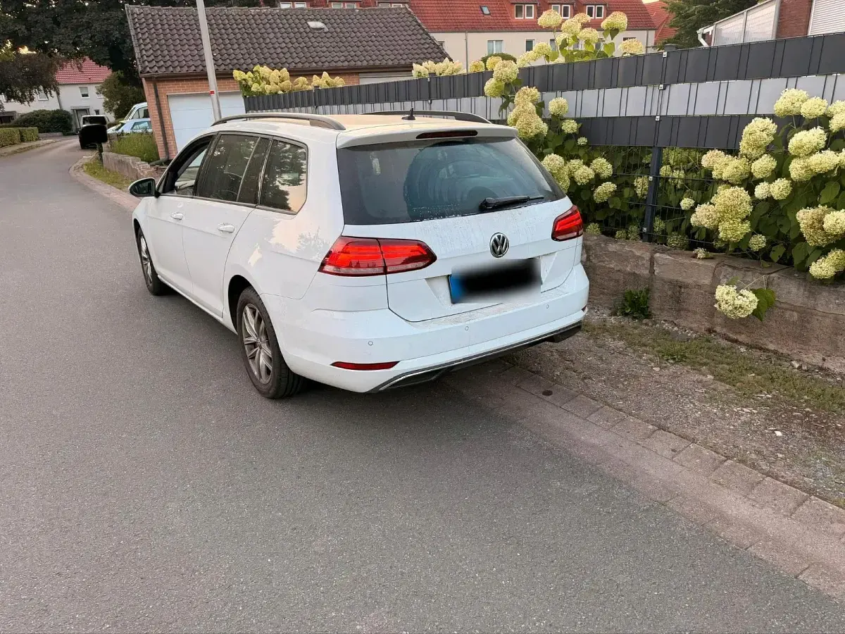 Gebraucht VW Golf VII 150 PS (110 kW) 2020 Weiß Kombi