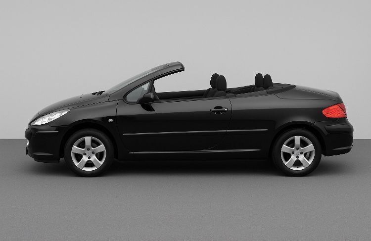Schwarz Gebraucht 2005 Peugeot 307 CC Tendance Cabrio | 6.500 € - Bild 1/4