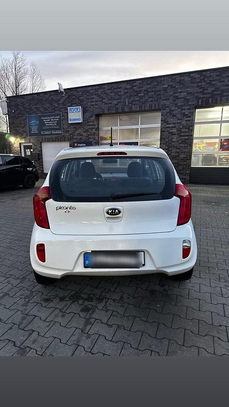 Gebraucht Kia Picanto 67 PS (49 kW) 2015 Weiß Kleinwagen