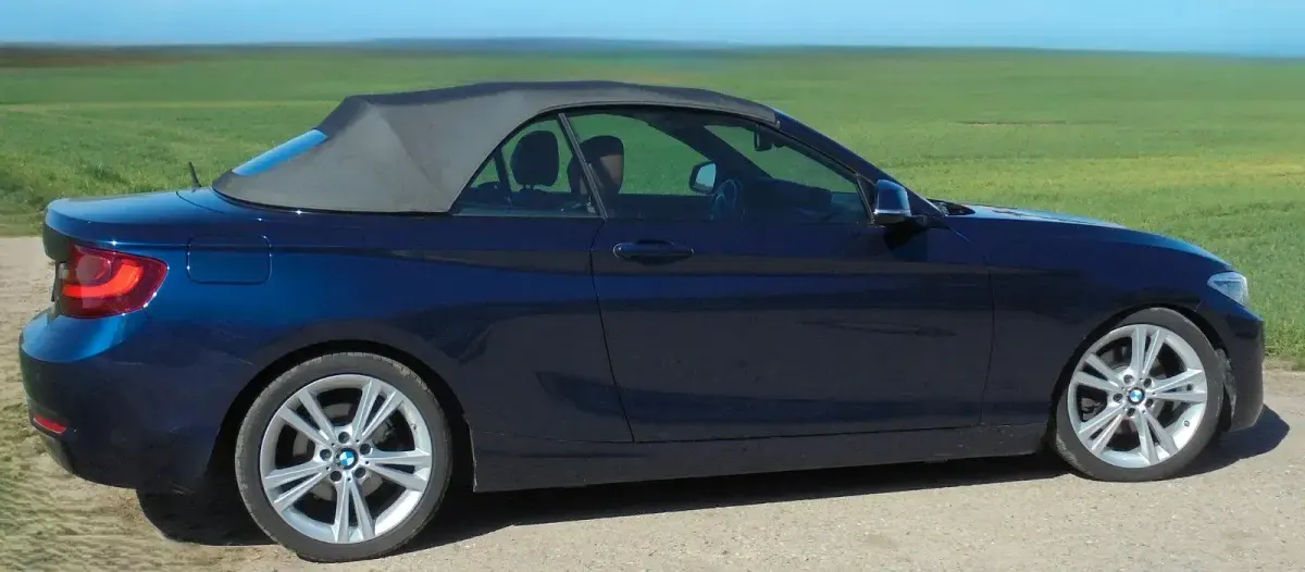 Gebraucht BMW 220 Sport Line 184 PS (135 kW) 2015 Blau Cabrio