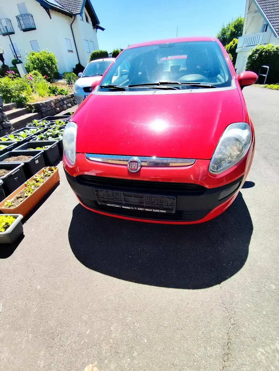 Usata Fiat Punto 105 CV (77 kW) 2010 Rosso Utilitaria