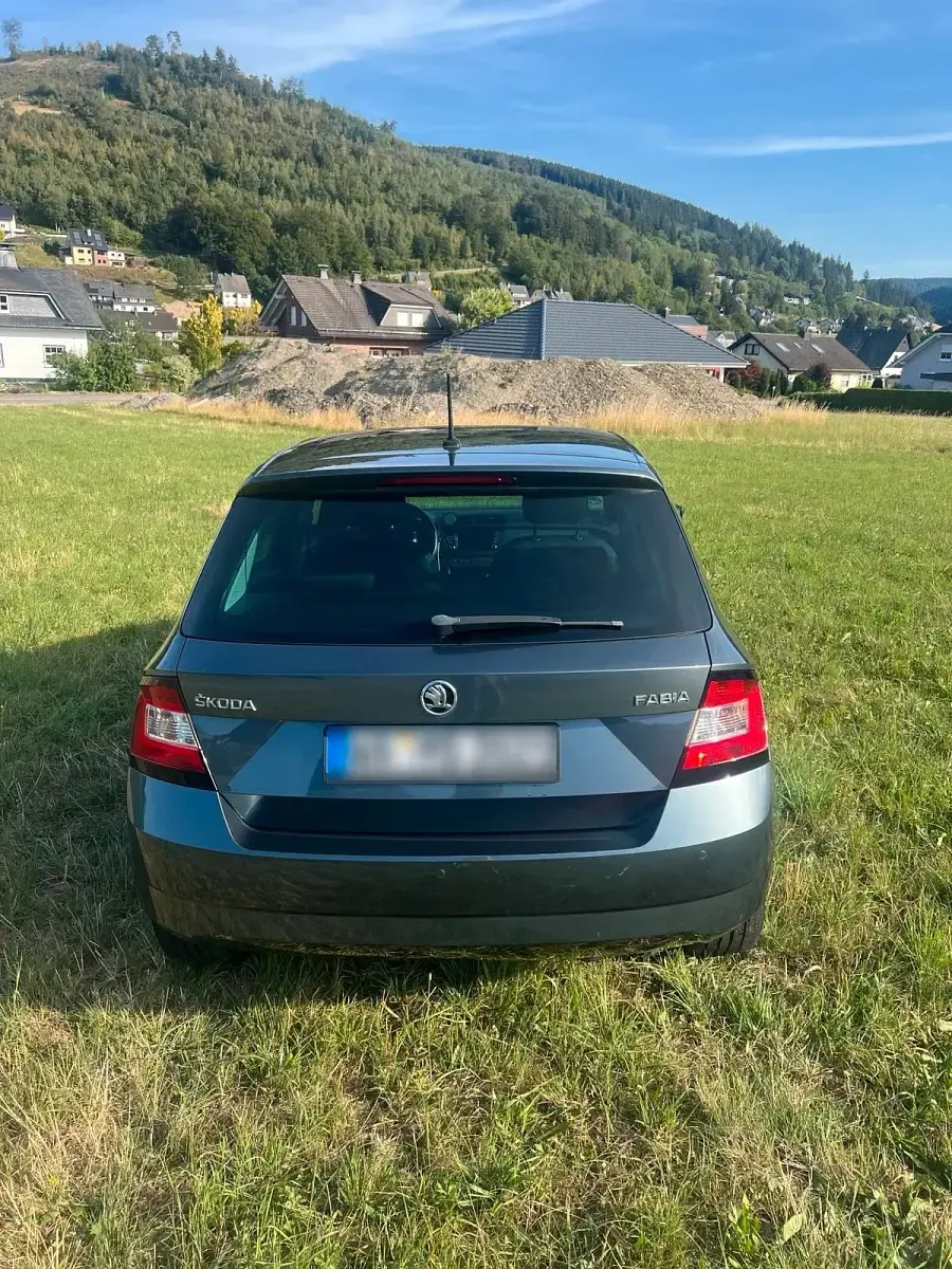 Gebraucht Skoda Fabia Joy 75 PS (55 kW) 2016 Grau Kleinwagen
