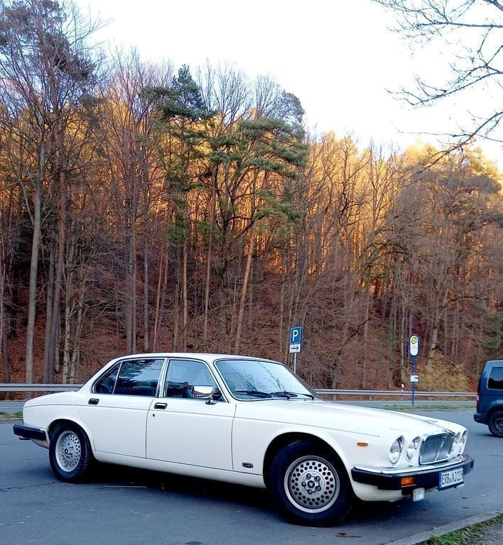 Weiß Gebraucht 1984 Jaguar XJ Limousine | 12.990 € - Bild 1/4