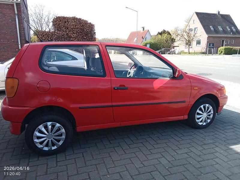 Usata VW Polo 54 CV (39 kW) 1994 Rosso Utilitaria