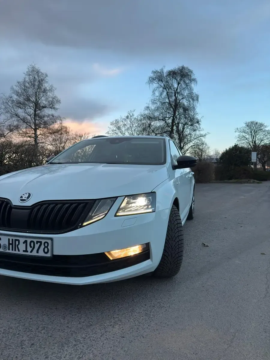 Gebraucht Skoda Octavia 150 PS (110 kW) 2017 Weiß Kombi