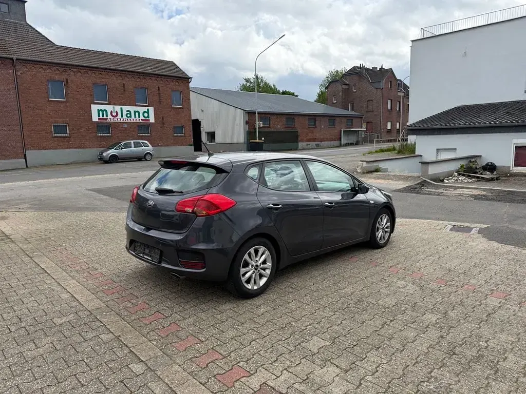 Używany Kia Ceed Edition 7 99 KM (72 kW) 2017 Szary Hatchback