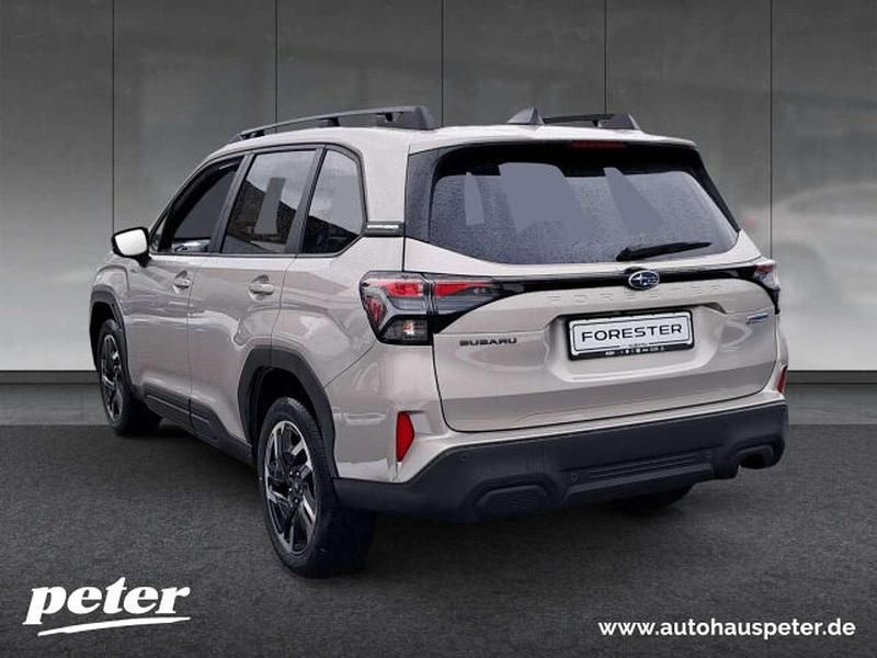 Gebraucht Subaru Forester Active 136 PS (100 kW) 2026 Cashmere gold opal SUV