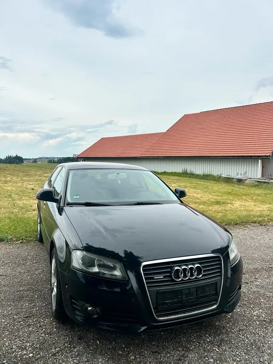 Gebraucht Audi A3 Ambition 140 PS (102 kW) 2009 Schwarz Kleinwagen