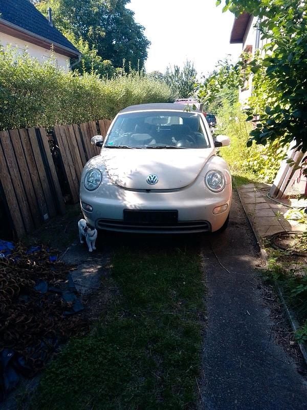 Gelb Gebraucht 2003 VW Beetle Cabrio | 2.900 € (Fairer Preis) - Bild 1/4