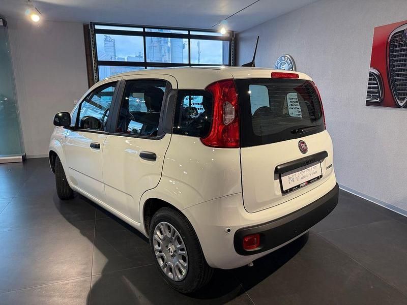 Gebraucht Fiat Panda Icon 65 PS (47 kW) 2026 Weiß Kleinwagen