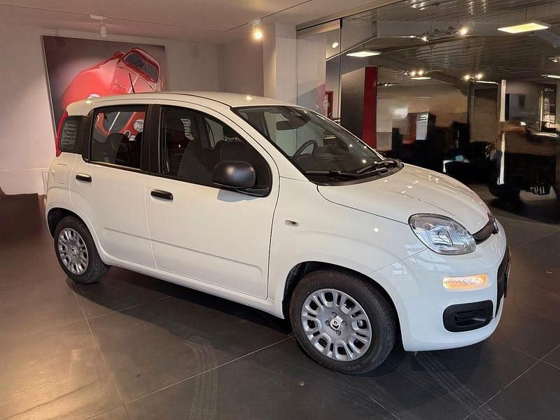 Neu Fiat Panda Icon 65 PS (47 kW) 2026 Weiß Kleinwagen