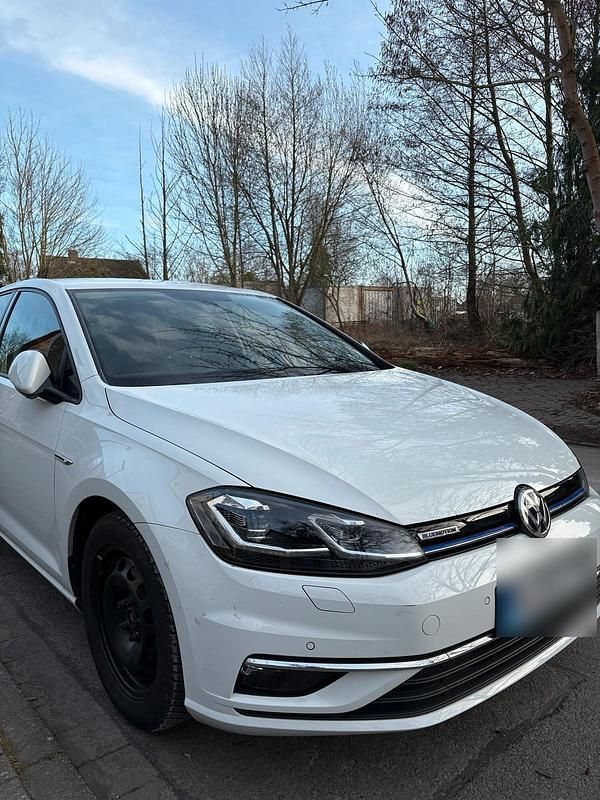 Gebraucht VW Golf VII 130 PS (95 kW) 2019 Weiß Kleinwagen
