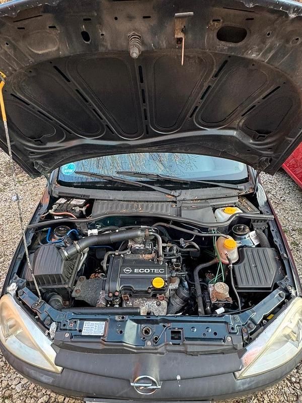 Gebraucht Opel Corsa 60 PS (44 kW) 2004 Grün Kleinwagen