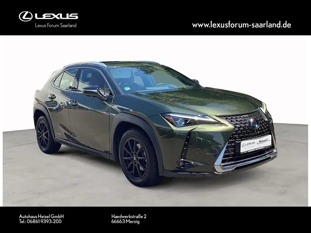Gebraucht Lexus UX 250h Luxury Line 178 PS (130 kW) 2020 Grün SUV
