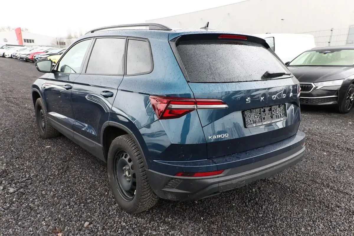 Gebraucht Skoda Karoq Tour 116 PS (85 kW) 2023 Blau SUV