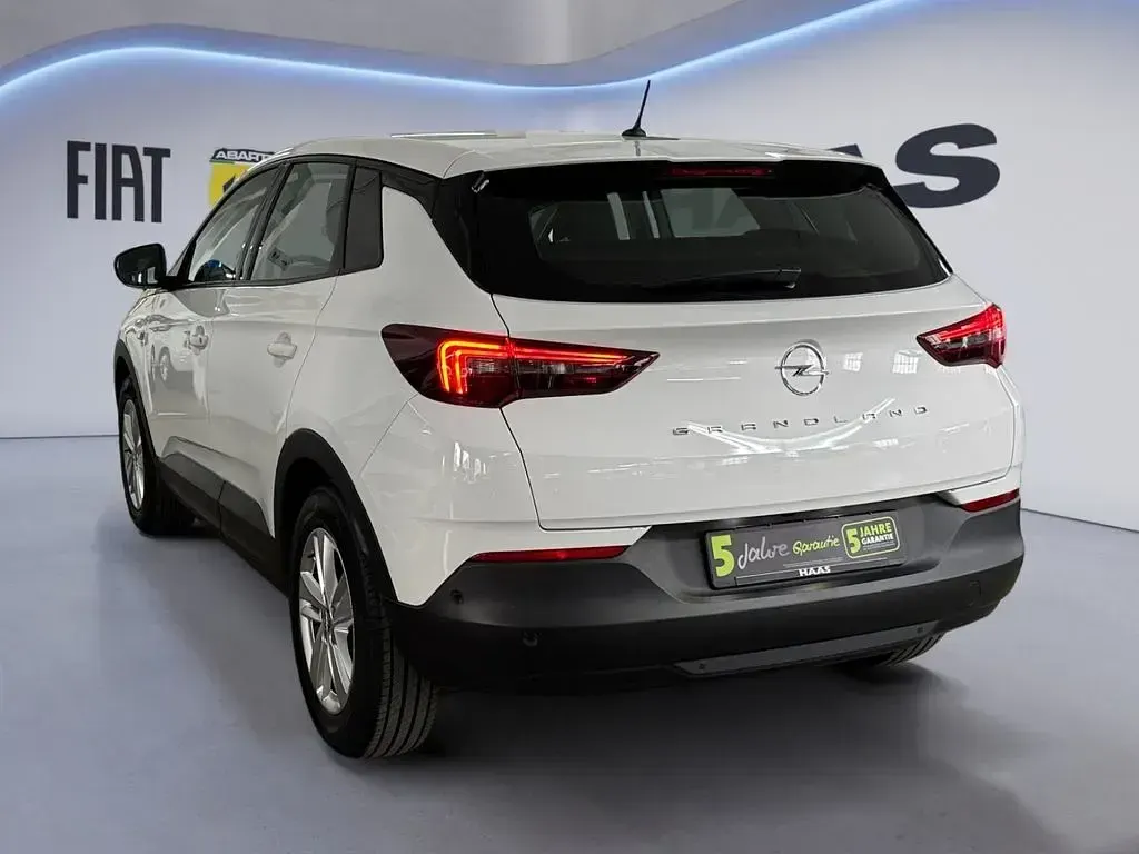 Gebraucht Opel Grandland X 131 PS (96 kW) 2022 Jade weiss/arktis weiss SUV