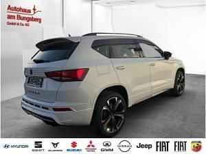 Neu Cupra Ateca 150 PS (110 kW) 2025 Weiß SUV