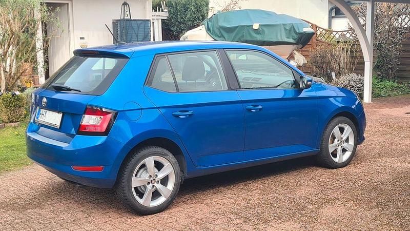 Gebraucht Skoda Fabia Active 75 PS (55 kW) 2019 Blau Limousine