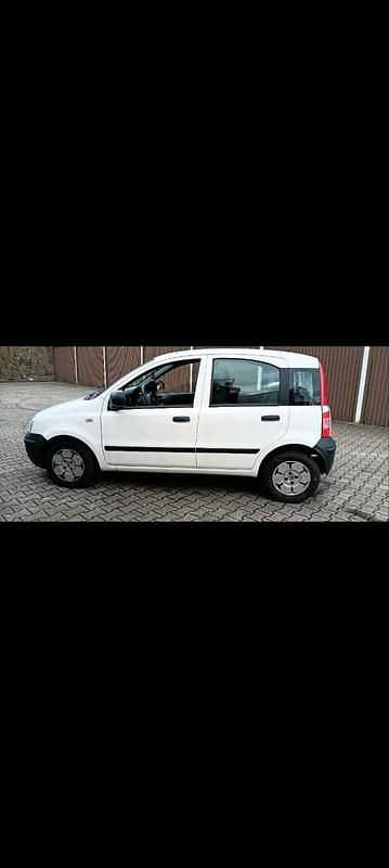 Weiß Gebraucht 2010 Fiat Panda Kleinwagen | 1.399 € (Guter Preis) - Bild 1/4