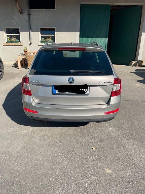 Gebraucht Skoda Octavia Joy 110 PS (80 kW) 2017 Grau Kombi