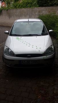Usata Ford Focus 101 CV (74 kW) 2002 Argento Berlina