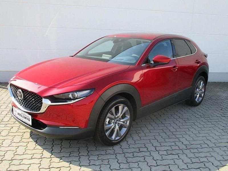 Gebraucht Mazda CX-30 Selection 122 PS (89 kW) 2019 Soul red crystal metallic (metallic) SUV