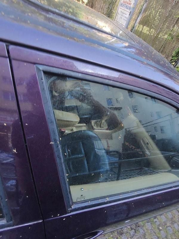 Violet Gebraucht 1999 Skoda Octavia LAURIN & KLEMENT Kombi | 999 € (Guter Preis) - Bild 1/4