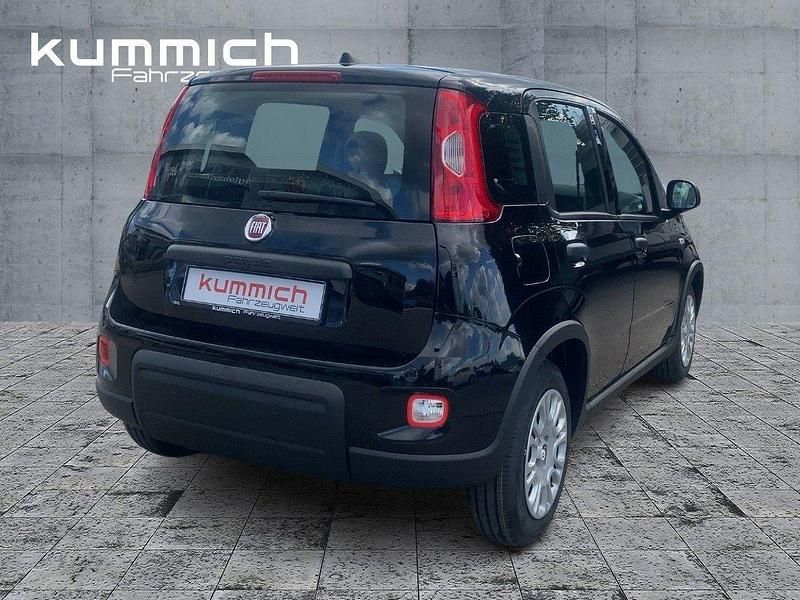 Gebraucht Fiat Panda 69 PS (50 kW) 2024 Schwarz Kleinwagen