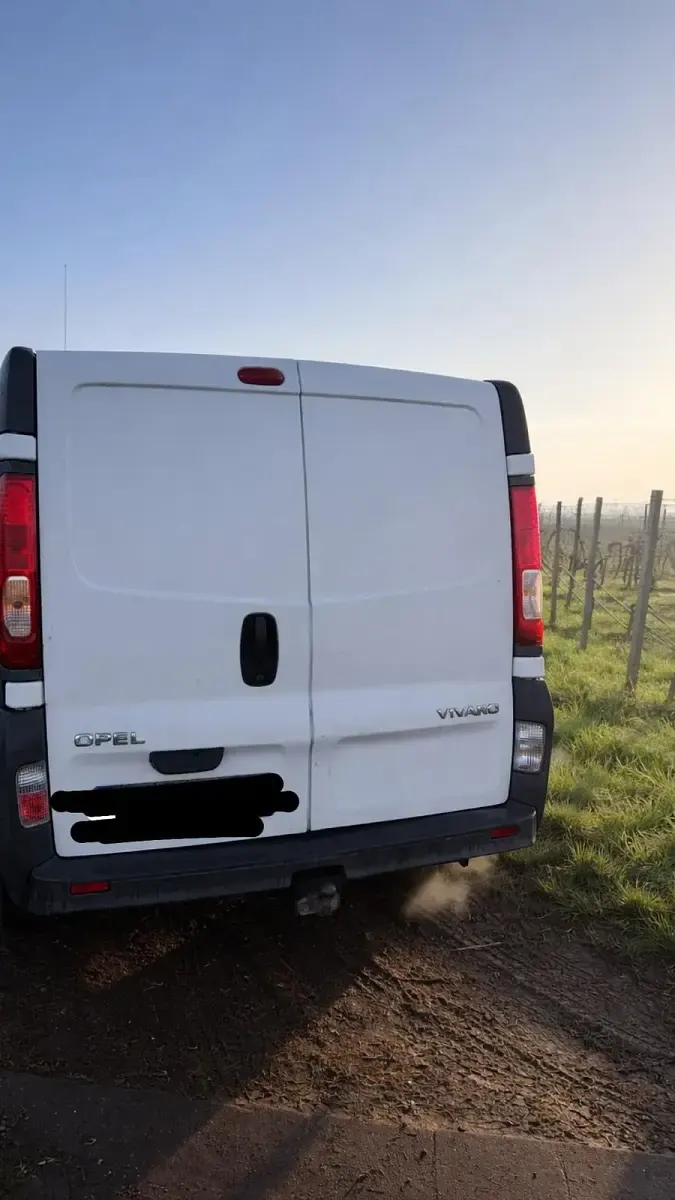 Używany Opel Vivaro 2008 Biały Minivan