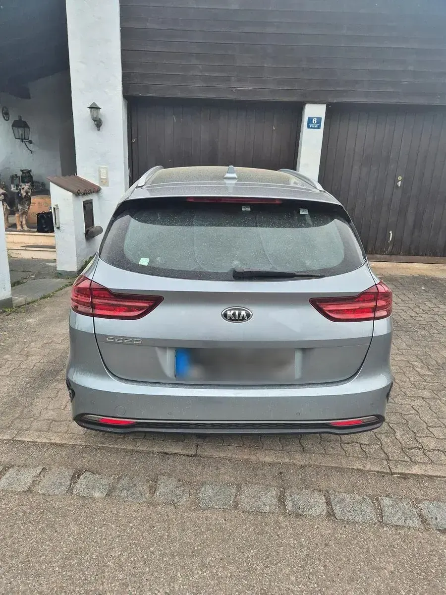 Gebraucht Kia Ceed Sportswagon Vision 140 PS (102 kW) 2018 Grau Kombi