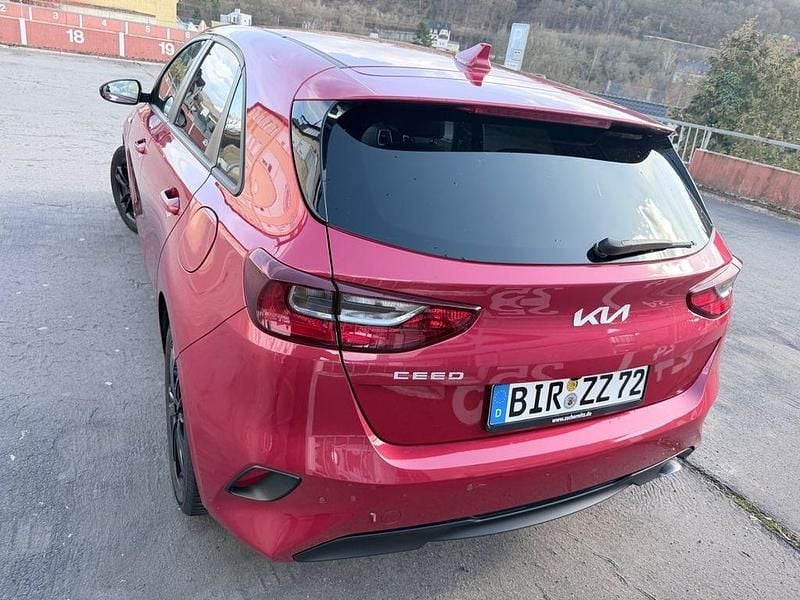 Usado Kia Ceed Vision 101 CV (74 kW) 2022 Rojo Utilitario