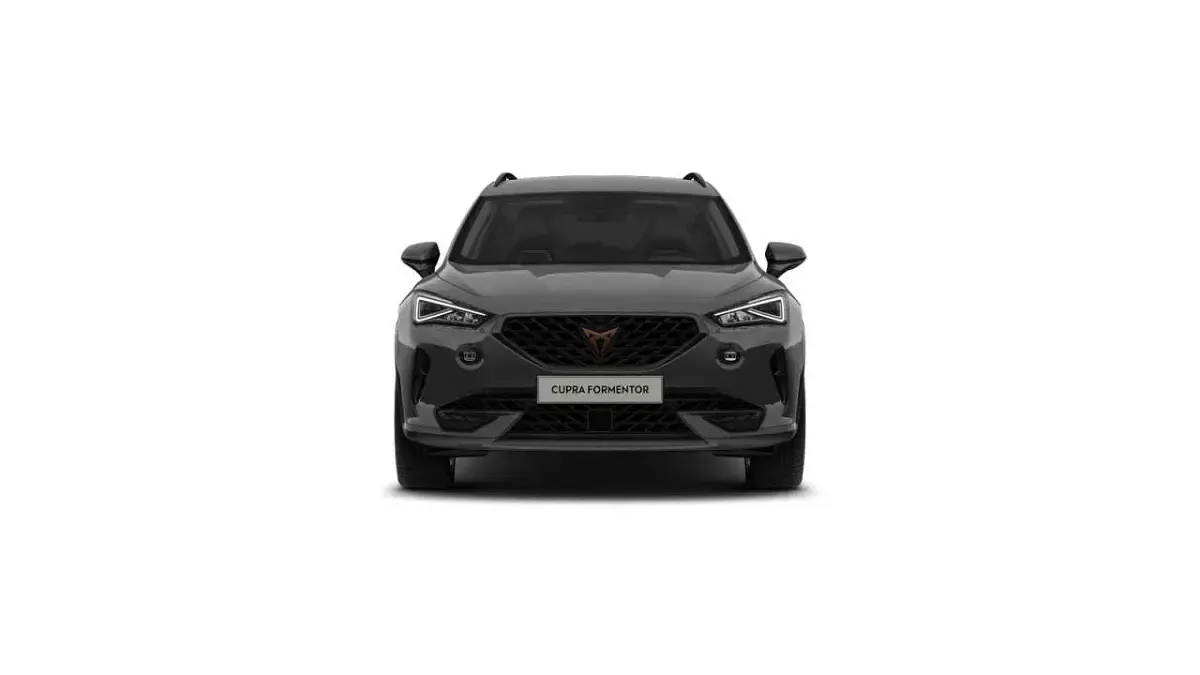 Gebraucht Cupra Formentor 150 PS (110 kW) 2024 Graphengrau SUV