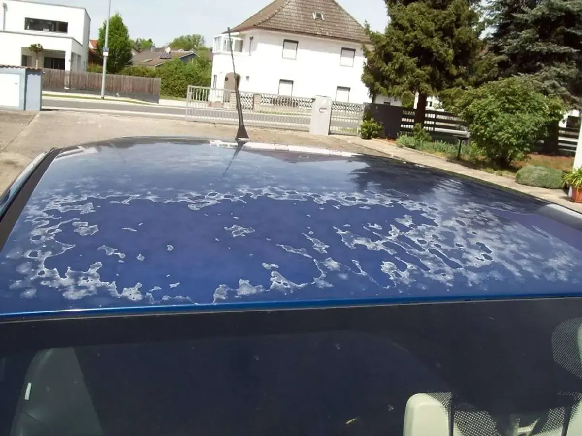 Gebraucht Fiat 500 Sport 69 PS (50 kW) 2009 Blau Cabrio